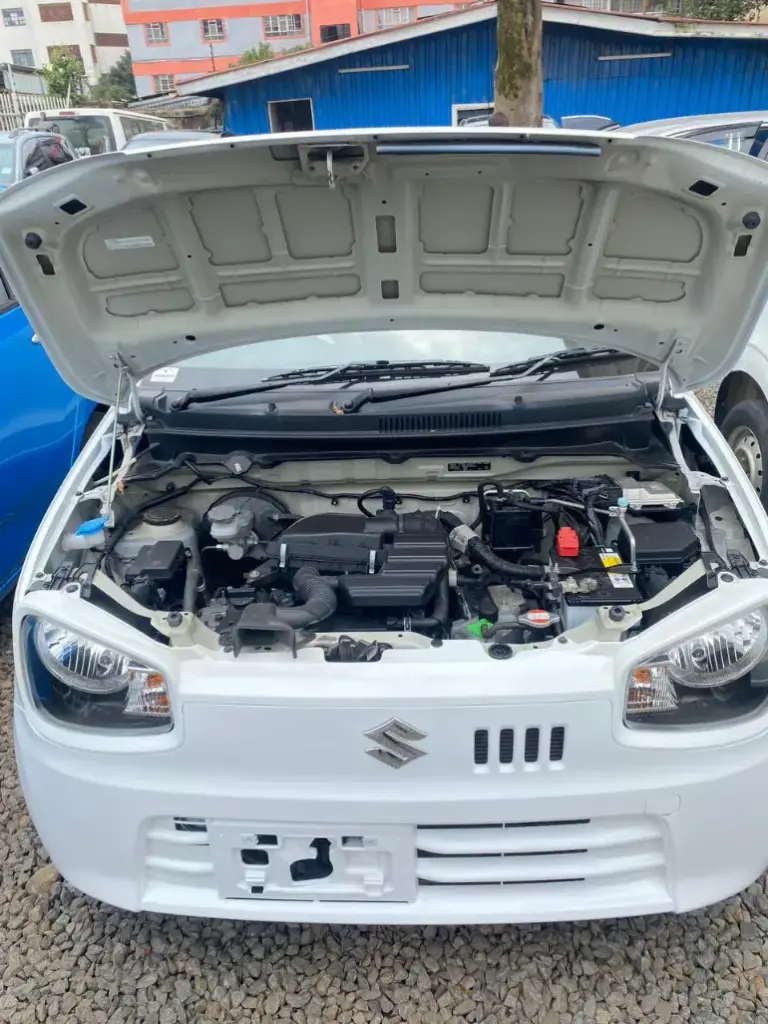 WhatsApp Image 2025-09-03 at 20.08.46.webp