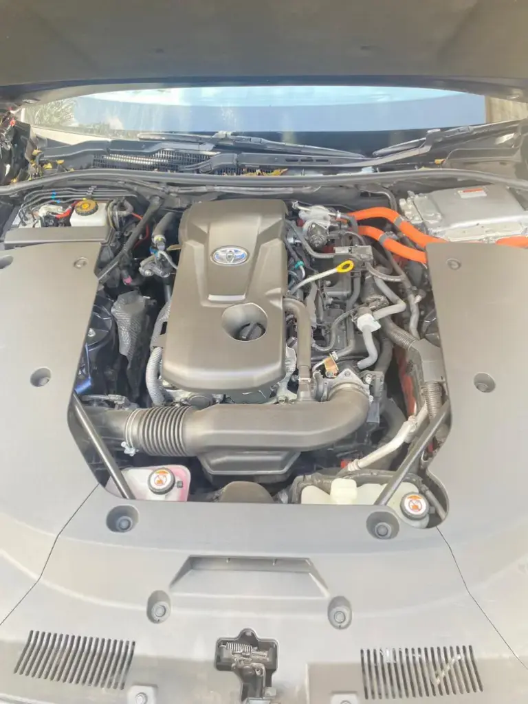 WhatsApp Image 2025-09-03 at 20.18.24.webp