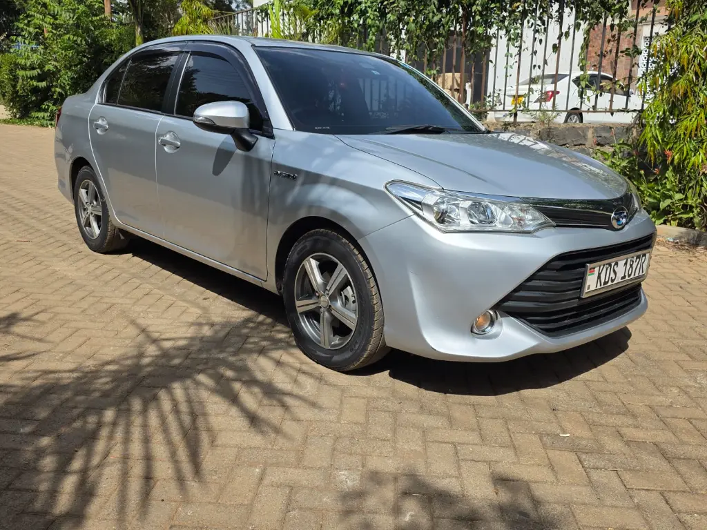 WhatsApp Image 2026-01-12 at 16.18.31.webp