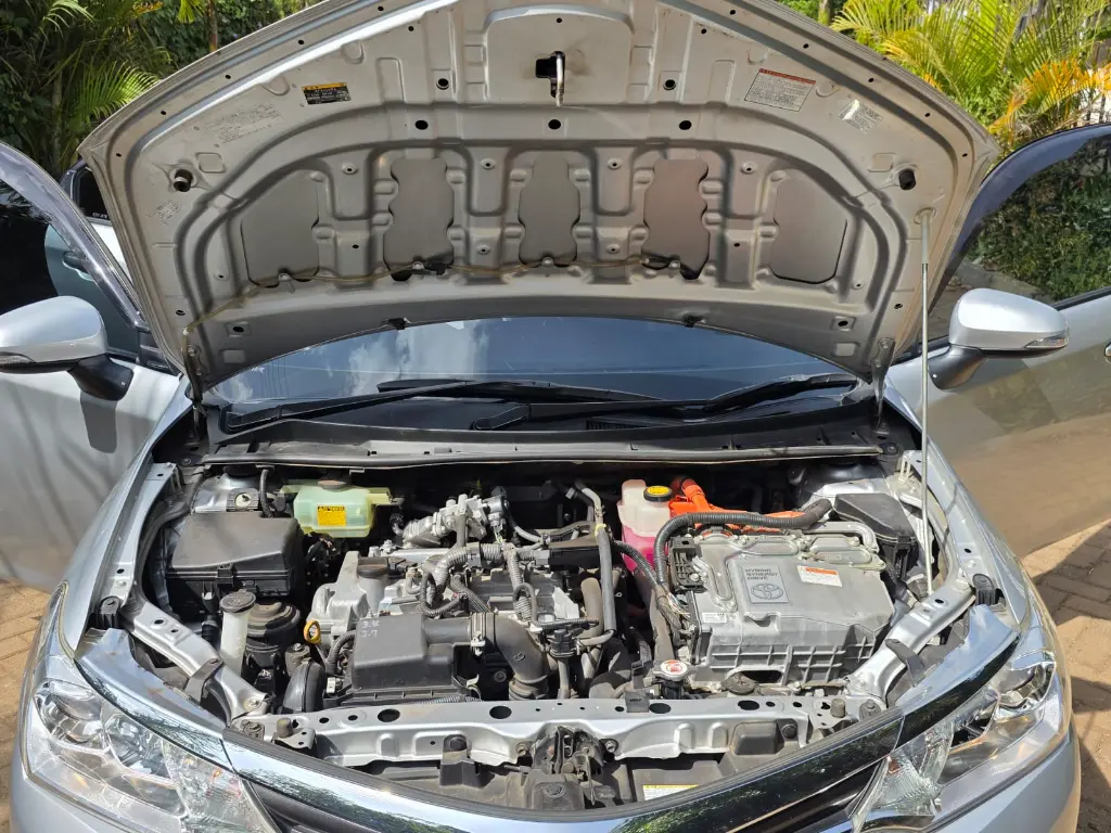 WhatsApp Image 2026-01-12 at 16.18.36.webp