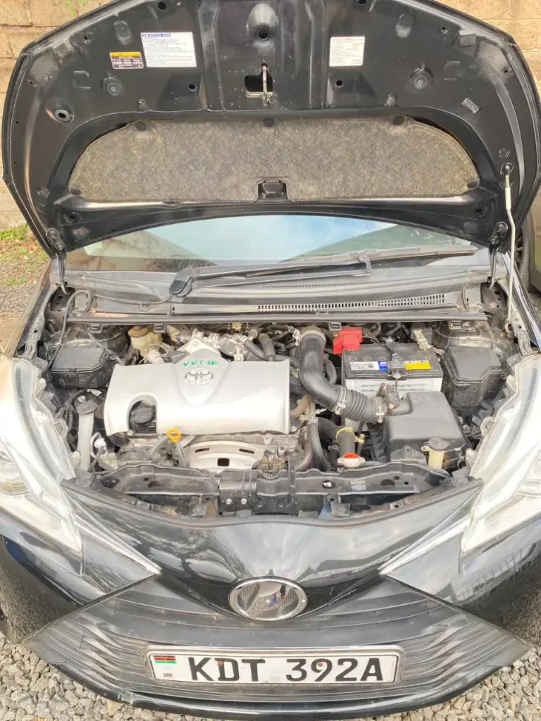 WhatsApp Image 2025-09-03 at 17.36.32.webp