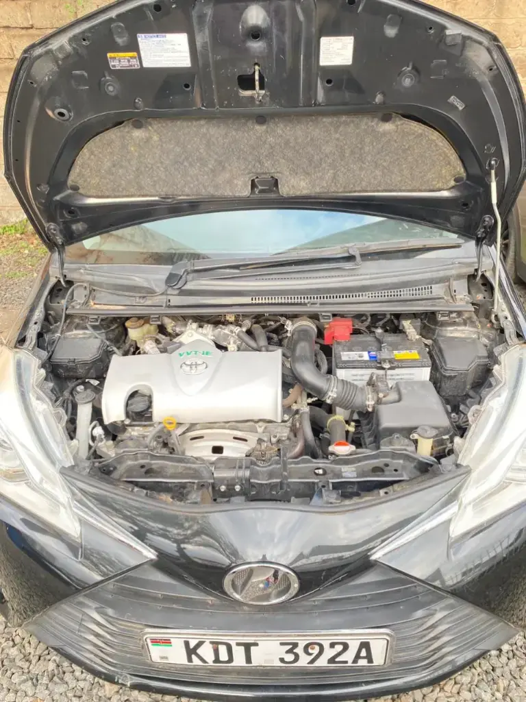 WhatsApp Image 2025-09-03 at 17.36.28 (1).webp