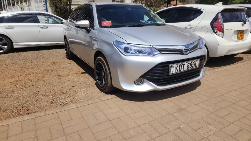 WhatsApp Image 2026-01-19 at 15.29.24.webp