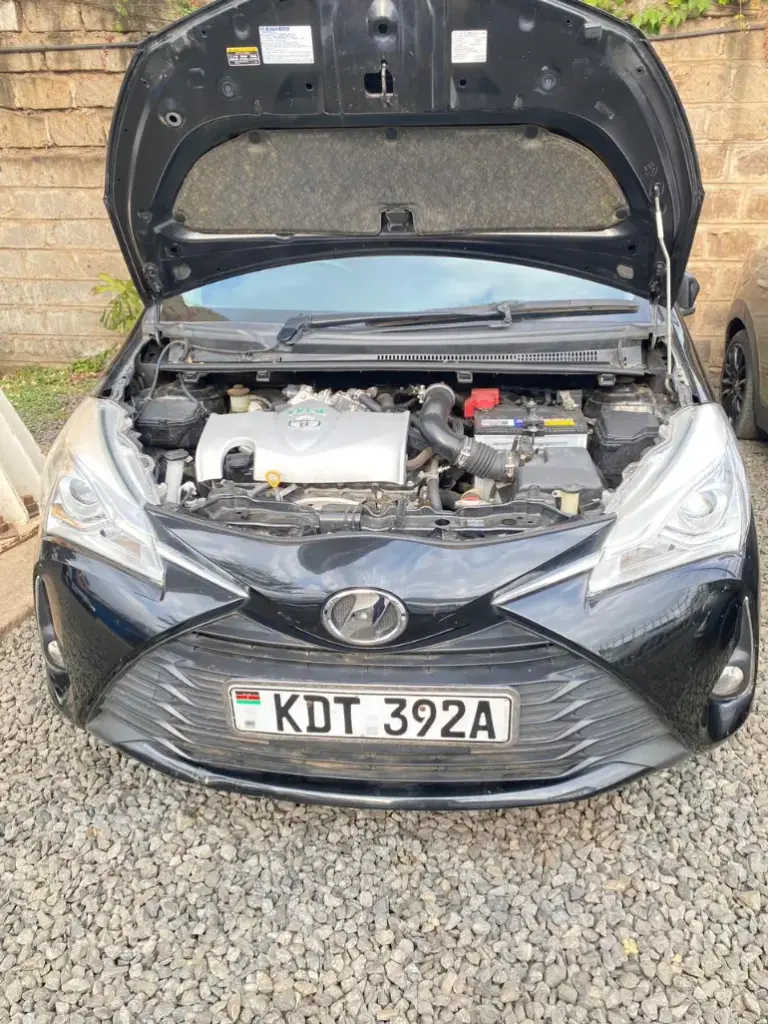 WhatsApp Image 2025-09-03 at 17.36.28.webp