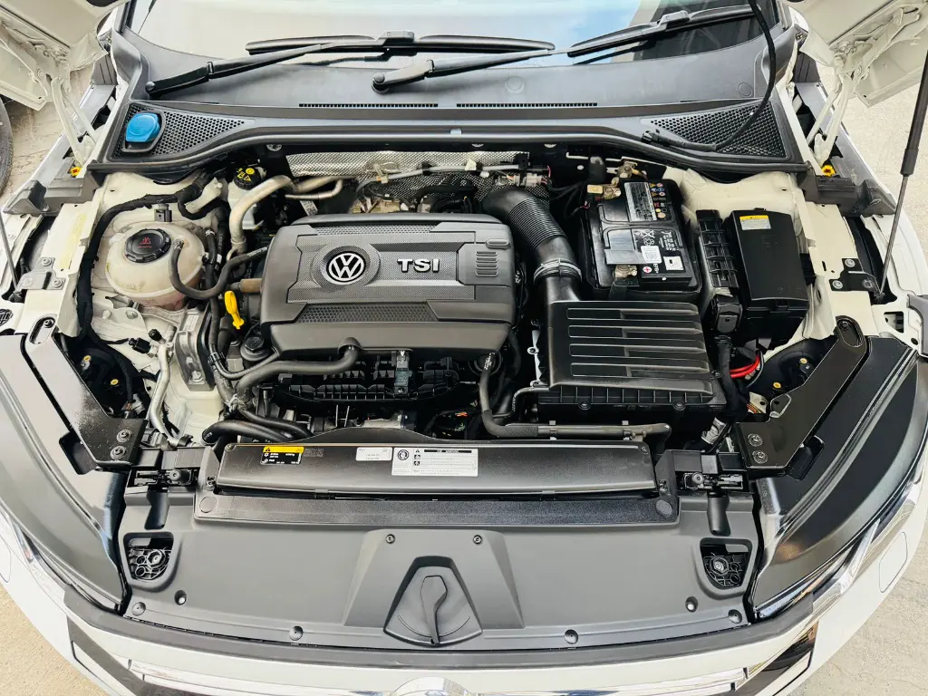 WhatsApp Image 2026-01-23 at 12.08.14.webp