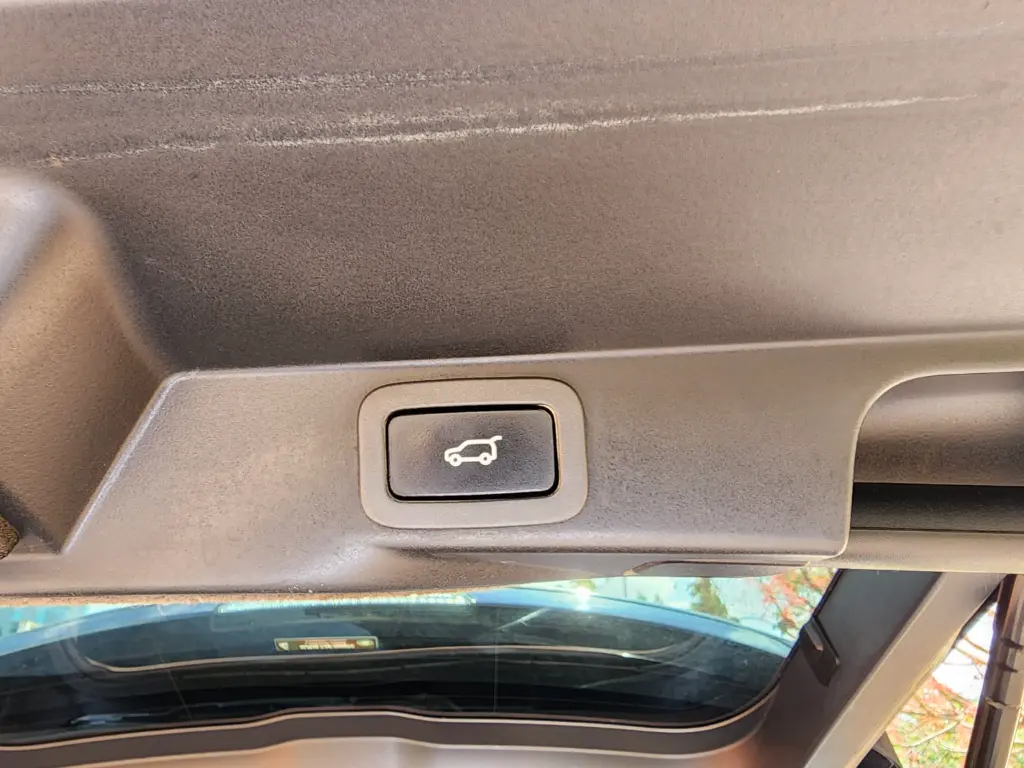 WhatsApp Image 2026-01-23 at 12.12.14.webp