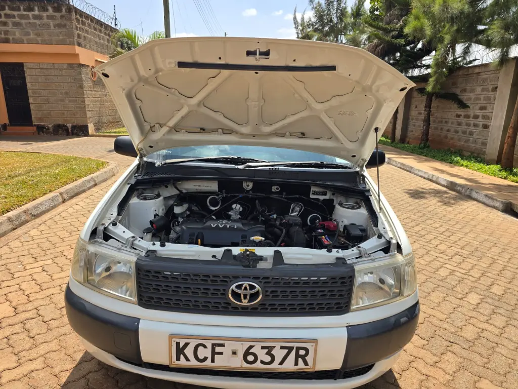 WhatsApp Image 2026-01-28 at 14.20.47.webp