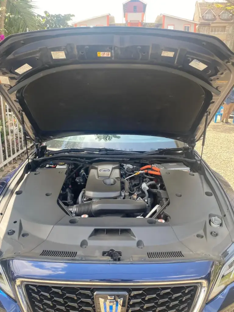 WhatsApp Image 2025-09-03 at 20.18.13.webp