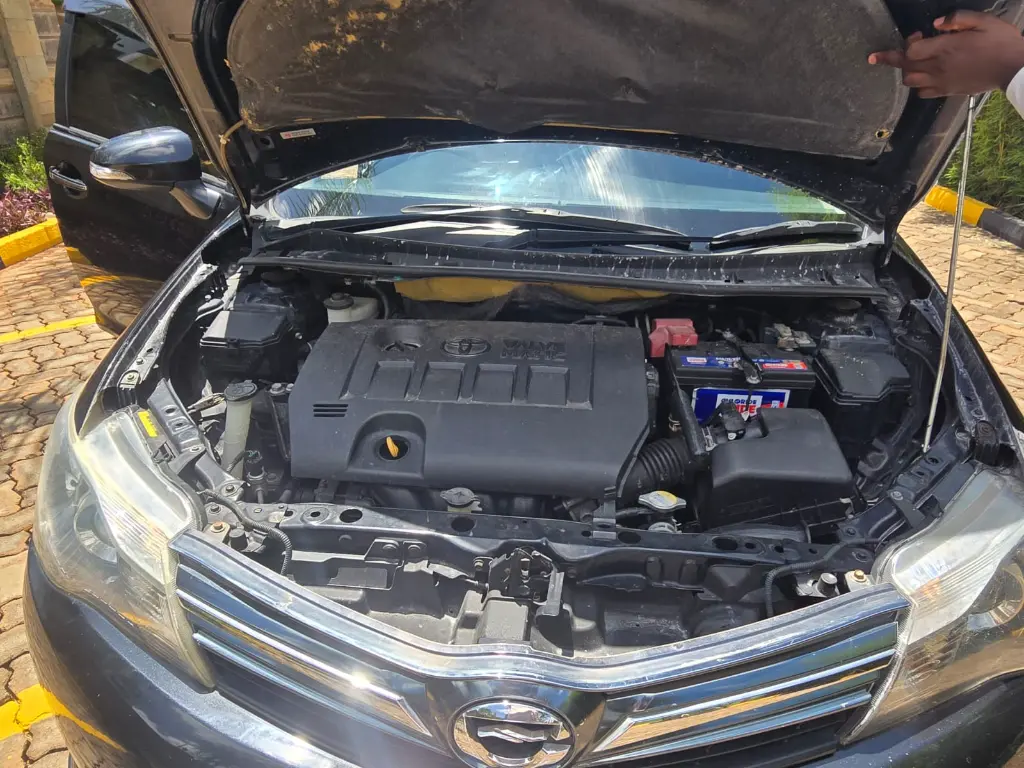 WhatsApp Image 2026-03-11 at 13.54.50.webp