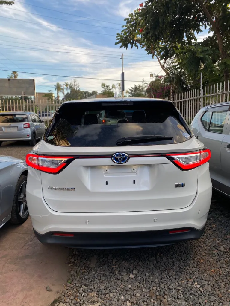 WhatsApp Image 2026-03-28 at 18.22.06.webp