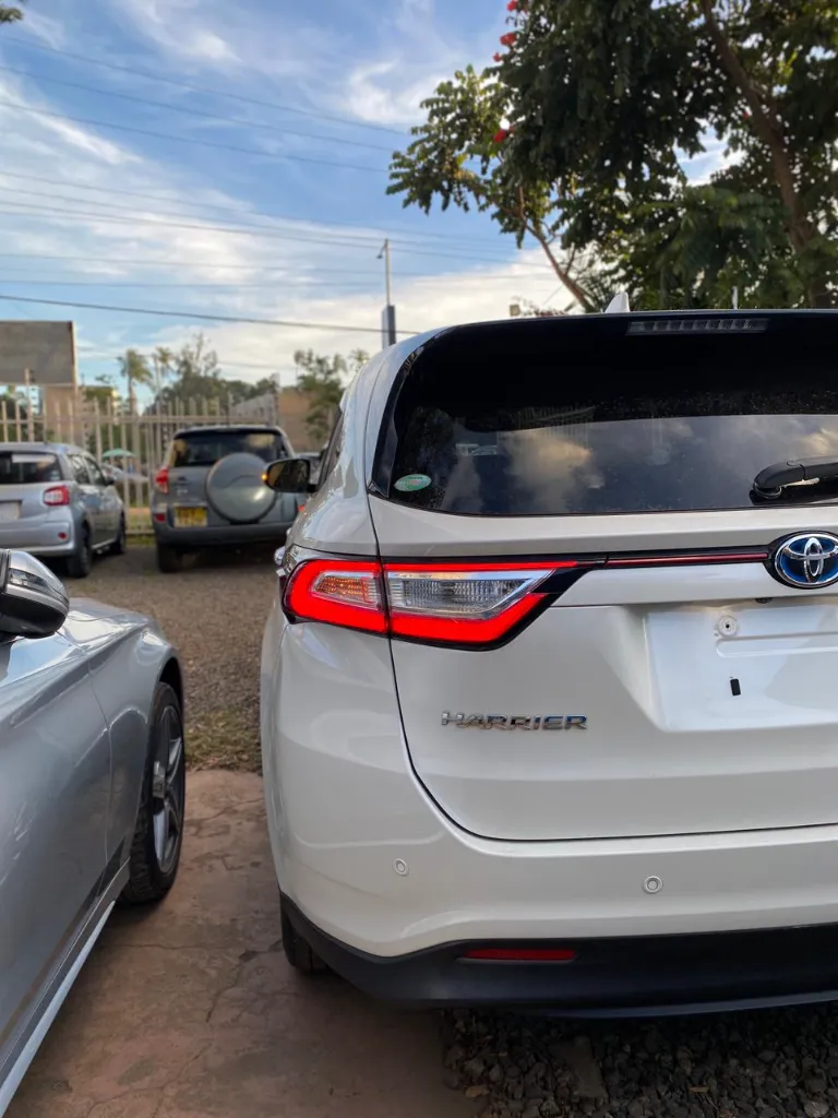 WhatsApp Image 2026-03-28 at 18.22.05.webp