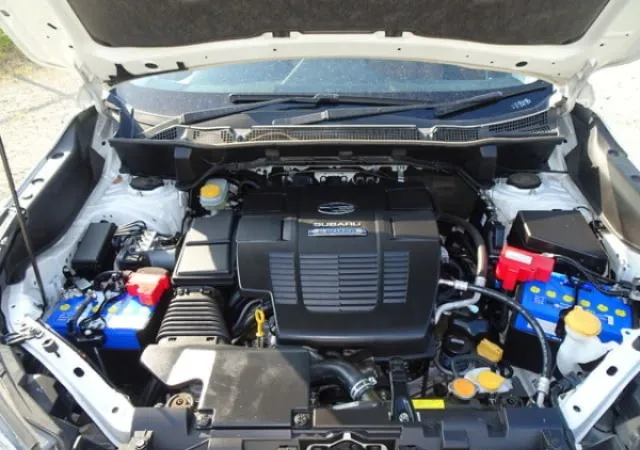 WhatsApp Image 2026-03-28 at 14.37.47.webp