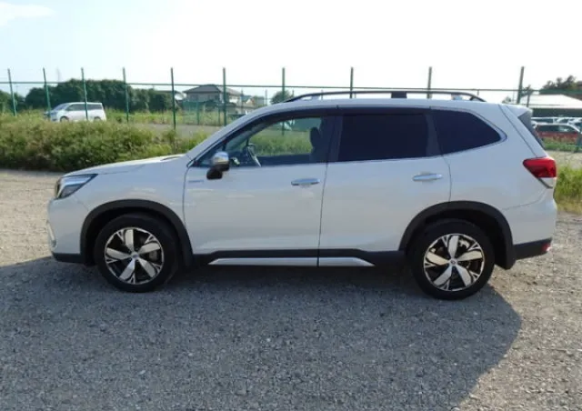 WhatsApp Image 2026-03-28 at 14.37.40.webp