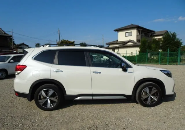 WhatsApp Image 2026-03-28 at 14.37.41.webp