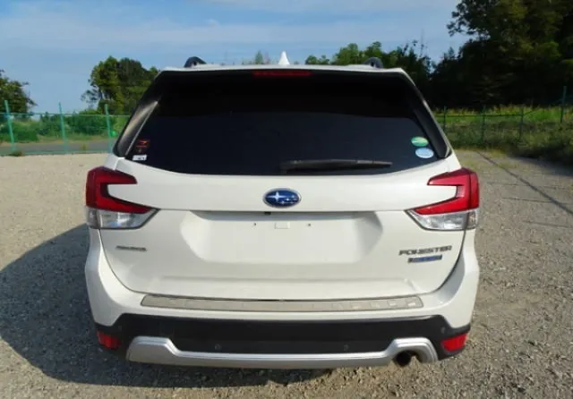 WhatsApp Image 2026-03-28 at 14.37.47 (1).webp