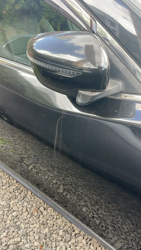 WhatsApp Image 2026-03-28 at 13.53.55.webp