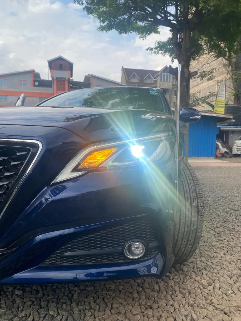 WhatsApp Image 2026-03-28 at 13.31.24.webp