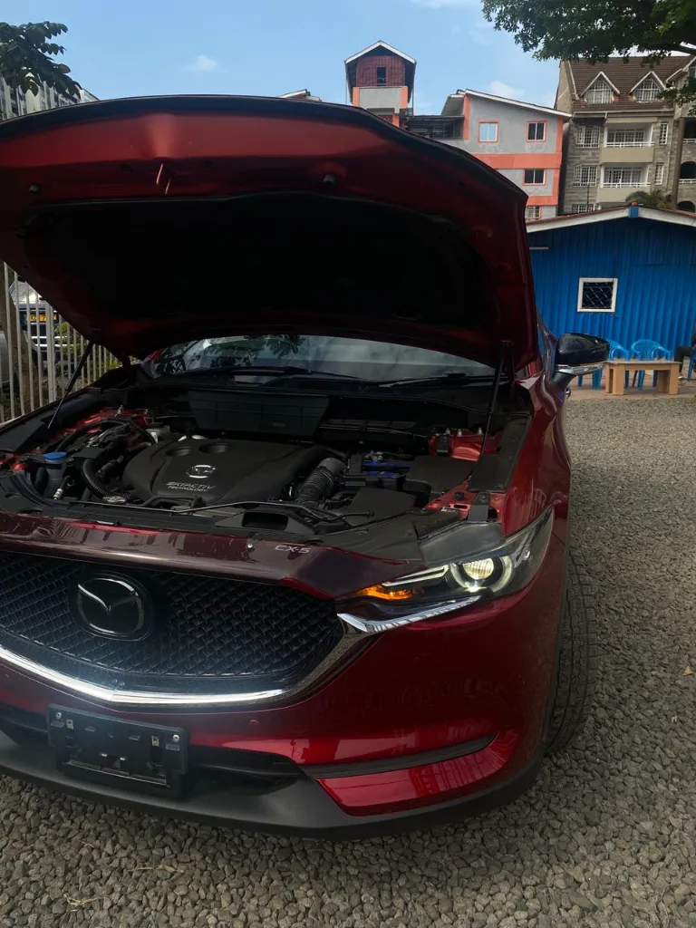 WhatsApp Image 2026-03-28 at 12.57.11.webp