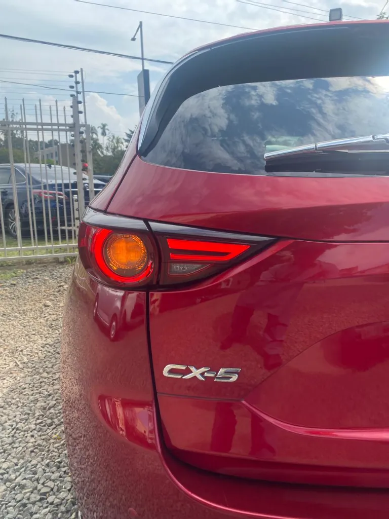 WhatsApp Image 2026-03-28 at 12.57.01.webp