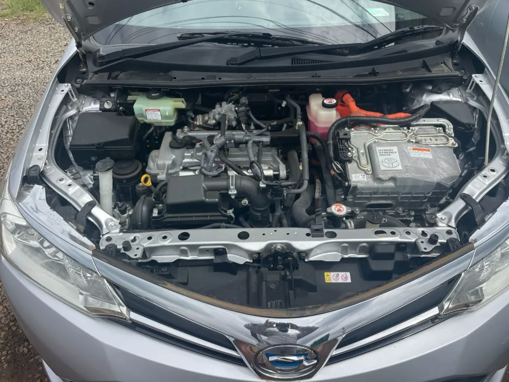 WhatsApp Image 2026-03-28 at 11.51.07.webp