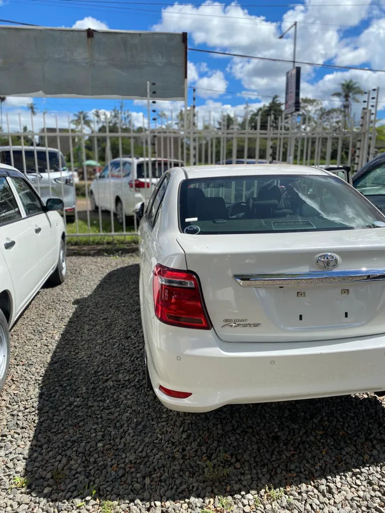 WhatsApp Image 2026-03-28 at 11.47.22 (1).webp