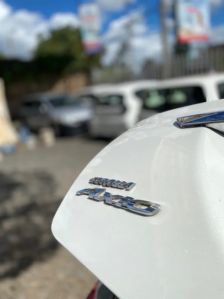 WhatsApp Image 2026-03-28 at 11.47.22.webp