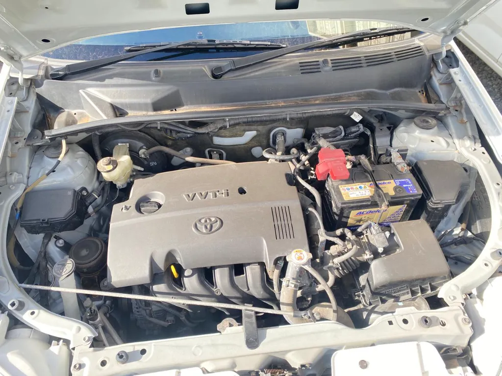 WhatsApp Image 2026-03-28 at 11.42.39.webp