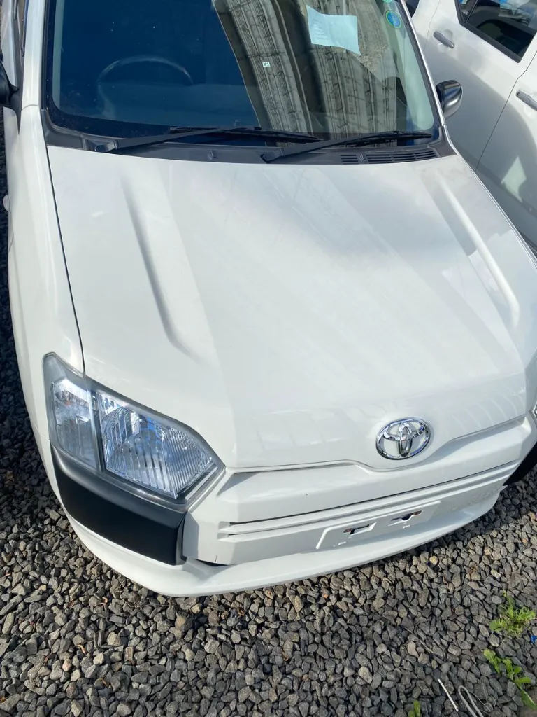 WhatsApp Image 2026-03-28 at 11.42.34.webp