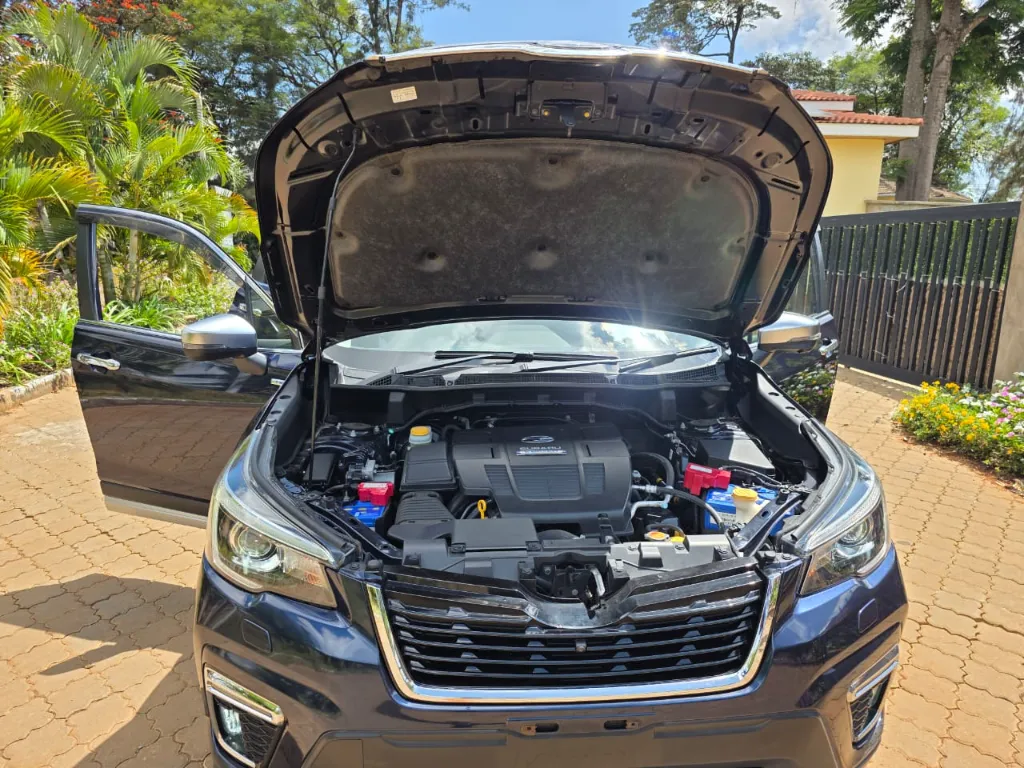 WhatsApp Image 2026-04-04 at 12.09.53 (1).webp