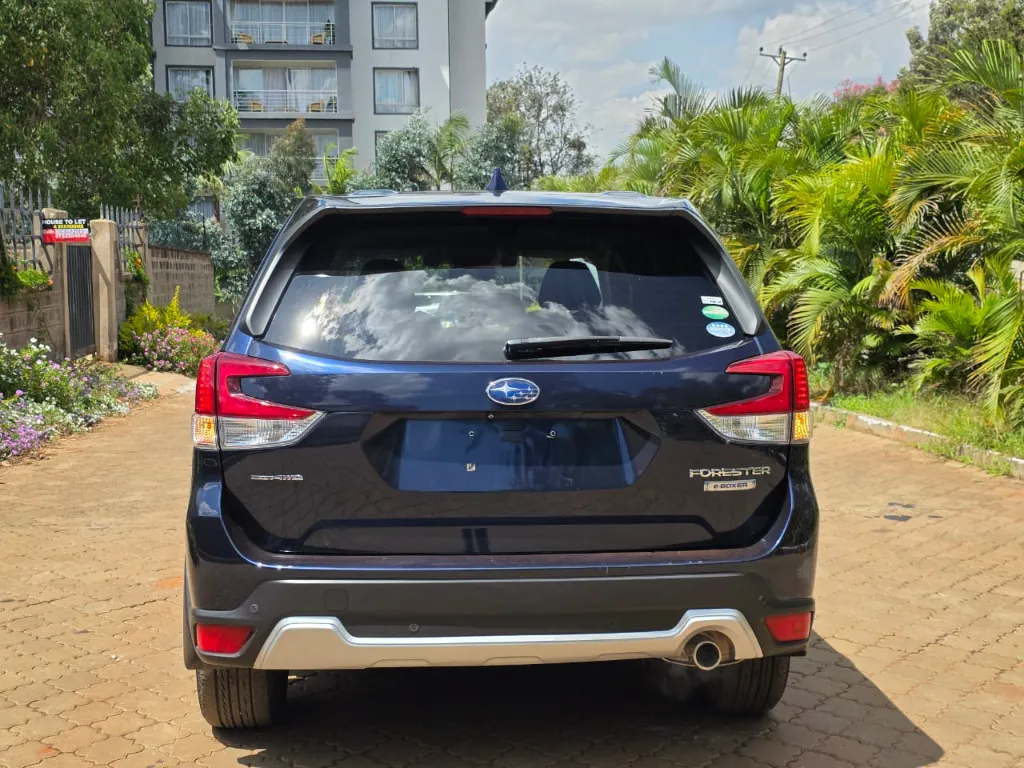 WhatsApp Image 2026-04-04 at 12.09.49.webp