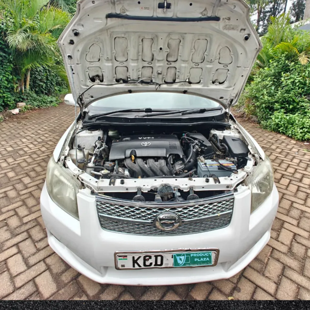 Untitled design (2).webp