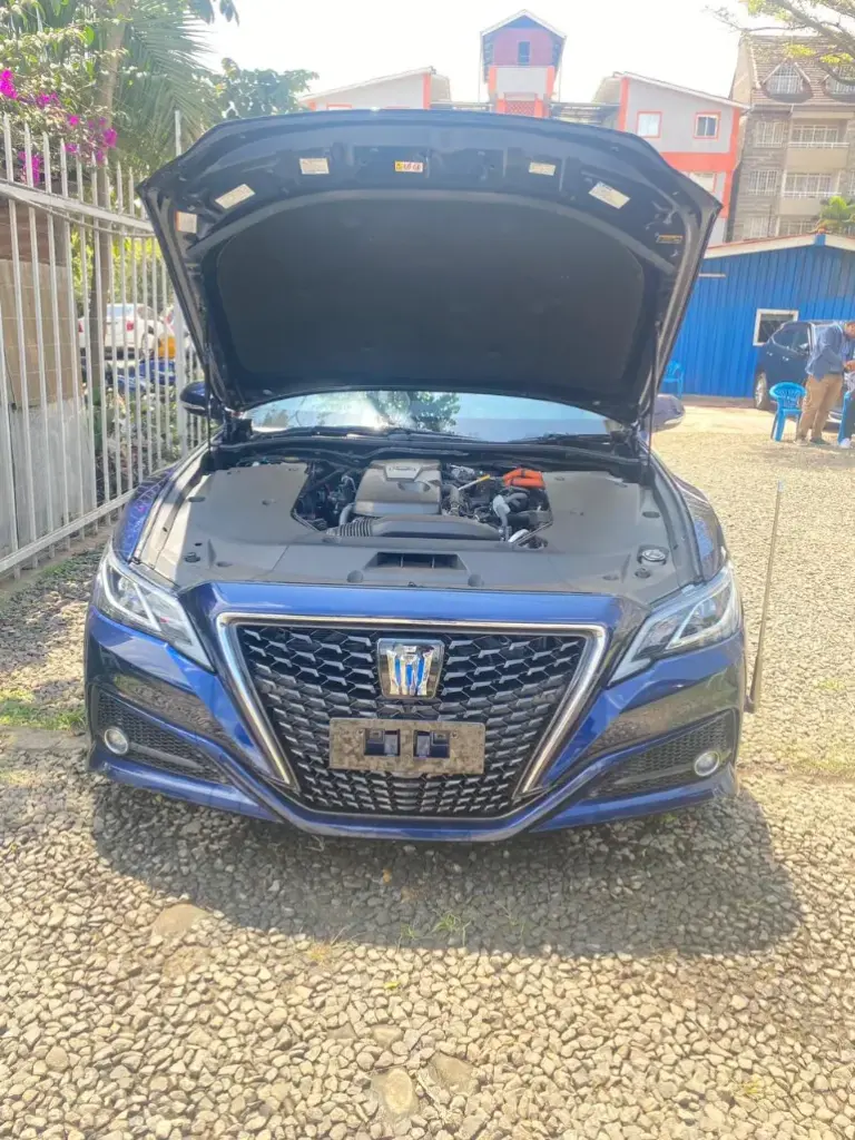 WhatsApp Image 2025-09-03 at 20.18.14.webp