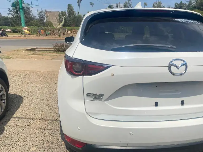 WhatsApp Image 2025-09-03 at 20.16.37 (1).webp