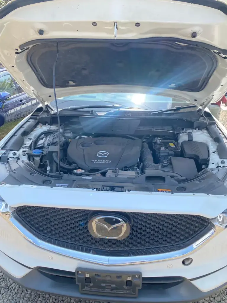 WhatsApp Image 2025-09-03 at 20.16.42.webp