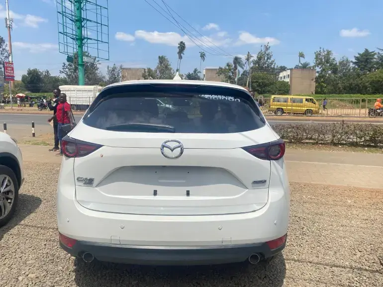 WhatsApp Image 2025-09-03 at 20.16.38 (1).webp