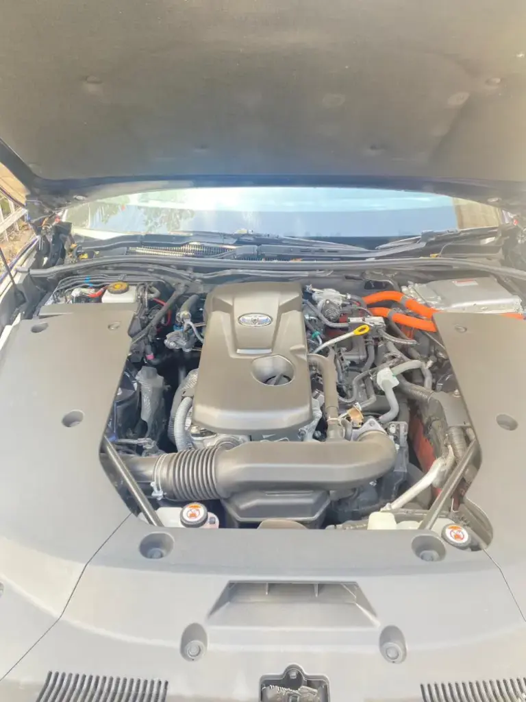 WhatsApp Image 2025-09-03 at 20.18.23 (1).webp